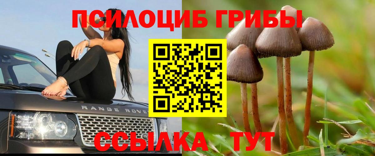 Псилоцибиновые грибы мухоморы Осинники
